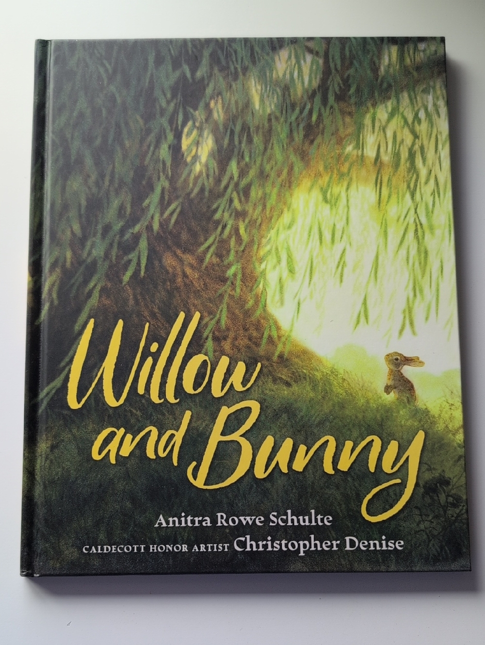 Willow And Bunny Book📖
